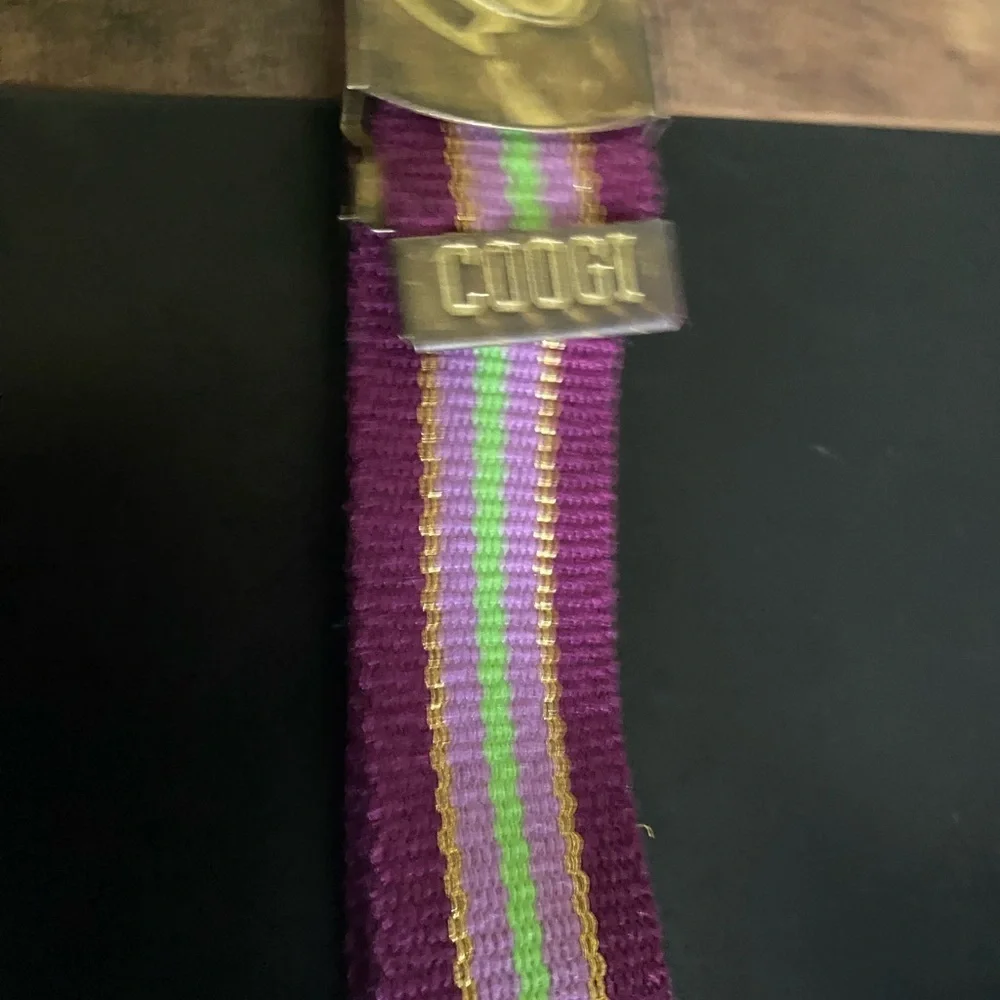 Vintage COOGI L Retro Purple Gold Metallic Cotton Adjustable Striped Belt 31”L
